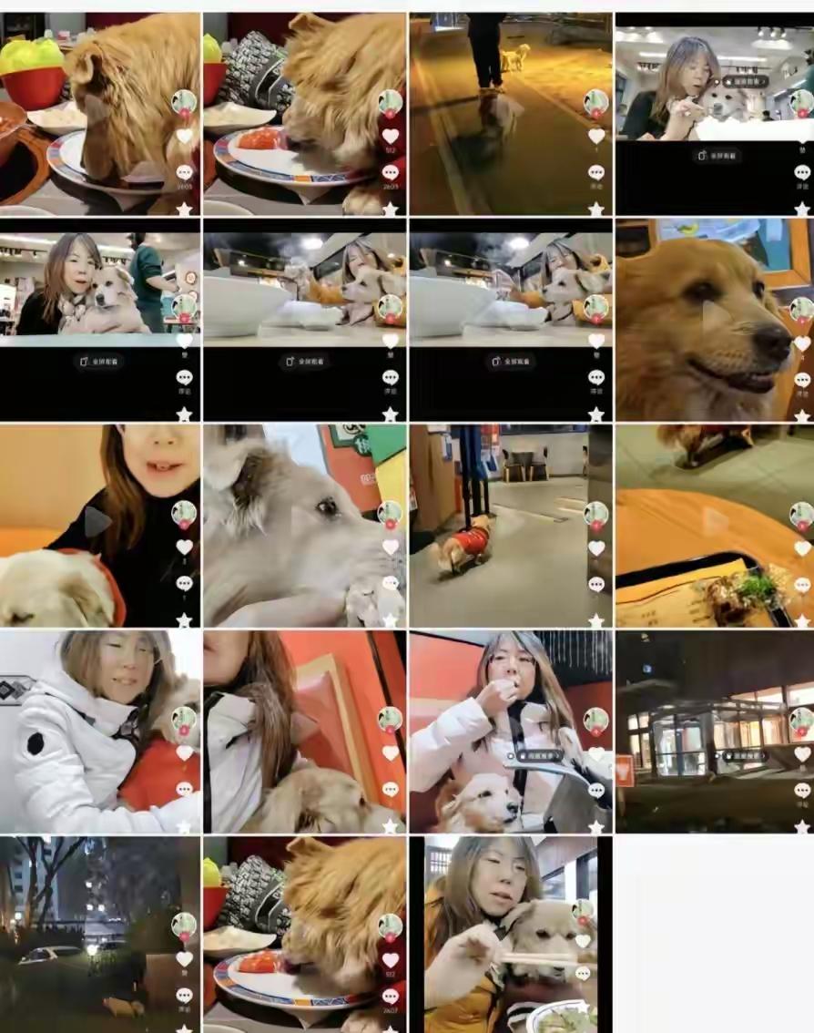 荒唐
带狗去各个餐馆吃饭，让狗舔盘子，还发视频炫耀，真是亲妈啊！
餐馆也有责任，