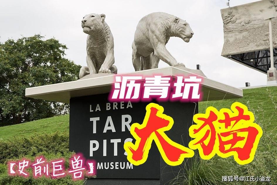 沥青坑中的大猫｜藏在洛杉矶市中心的冰河巨狮
  洛杉矶，美国第二大城市，车水马龙