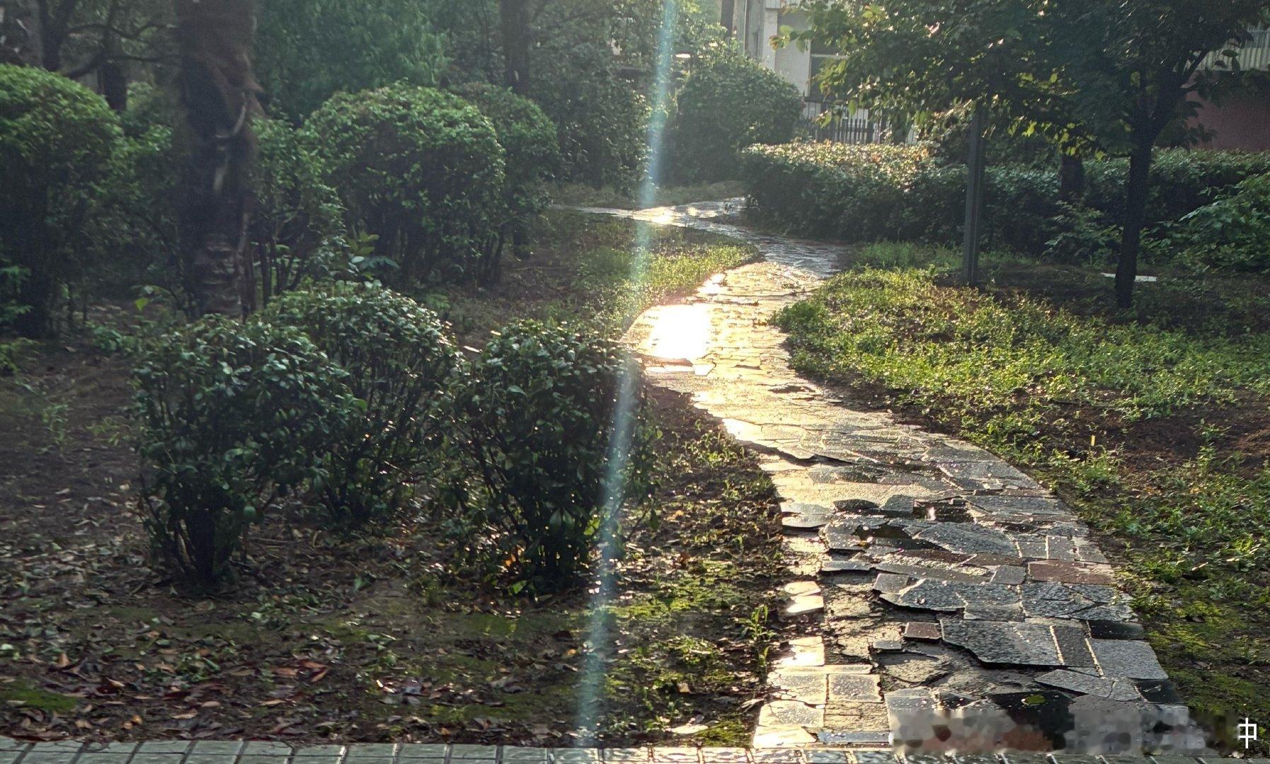 太阳雨好漂亮 
