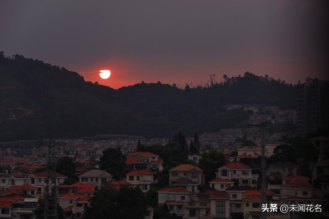 夕阳无限好，只是近黄昏！
今日满意的照片日落