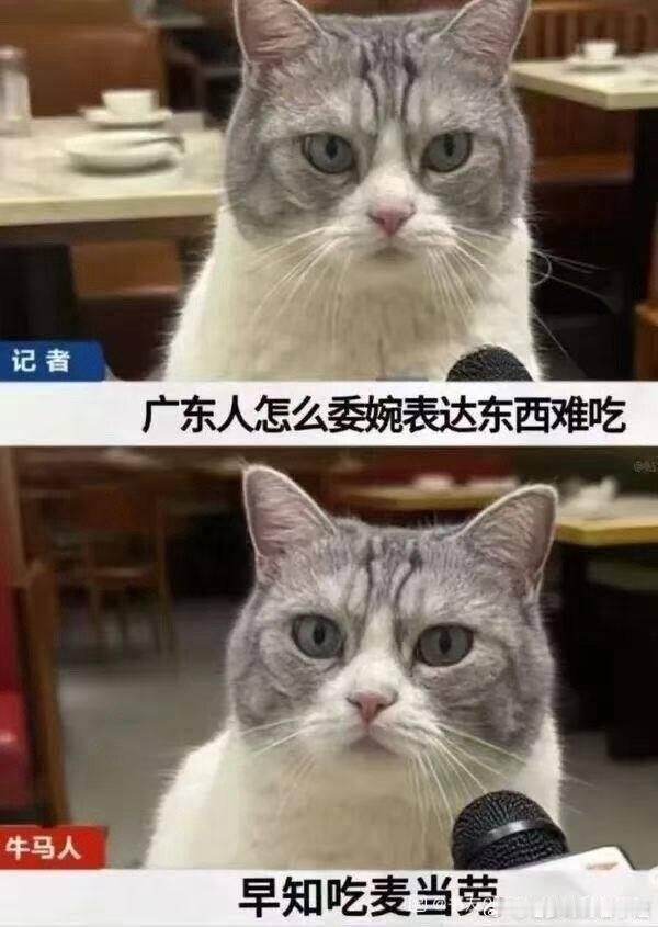 本广东人表示同意 ​​​