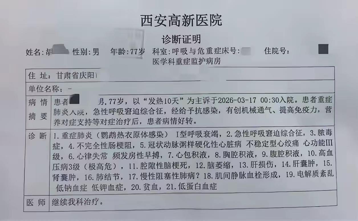 陕西咸阳，一男子带家人在袁家村景区玩套圈，套中一只鹦鹉带回家饲养，没想到鹦鹉死后