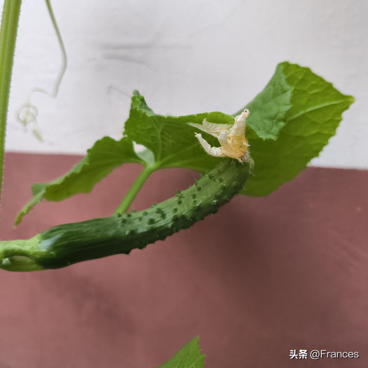 怎么就没有胃口吃饭呢

昨天去学校，办公室只有我自己在，中午又是一个人去食堂吃午