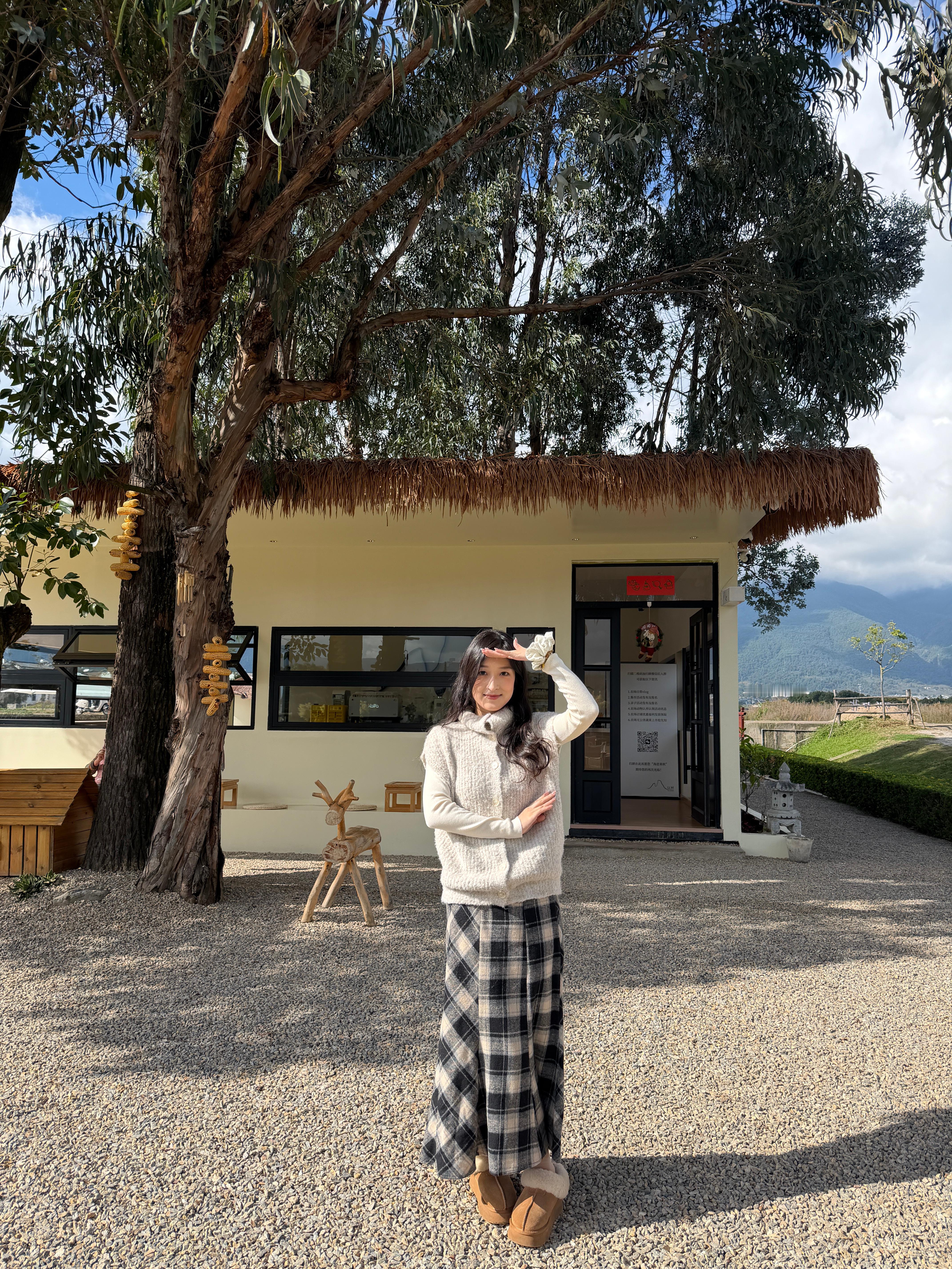 蜘蛛🕷️和布谷鸟🐦 大理