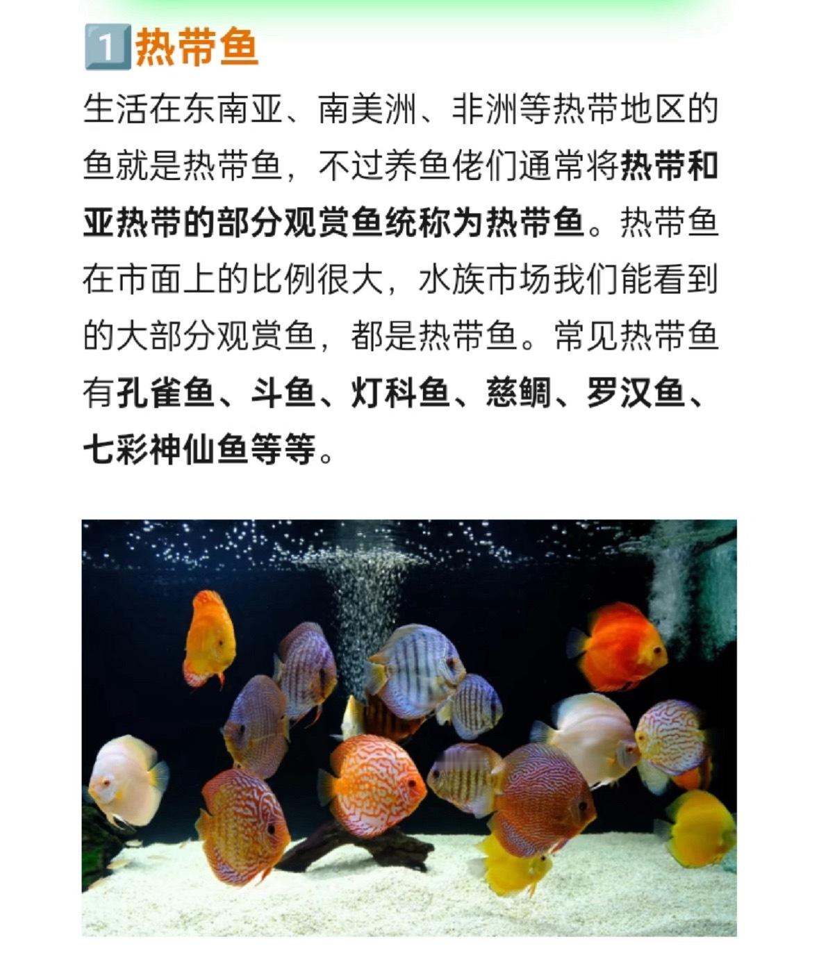 文案：我见过陆地，也见过鲸鱼，但抬起头只看见会飞的鱼。 