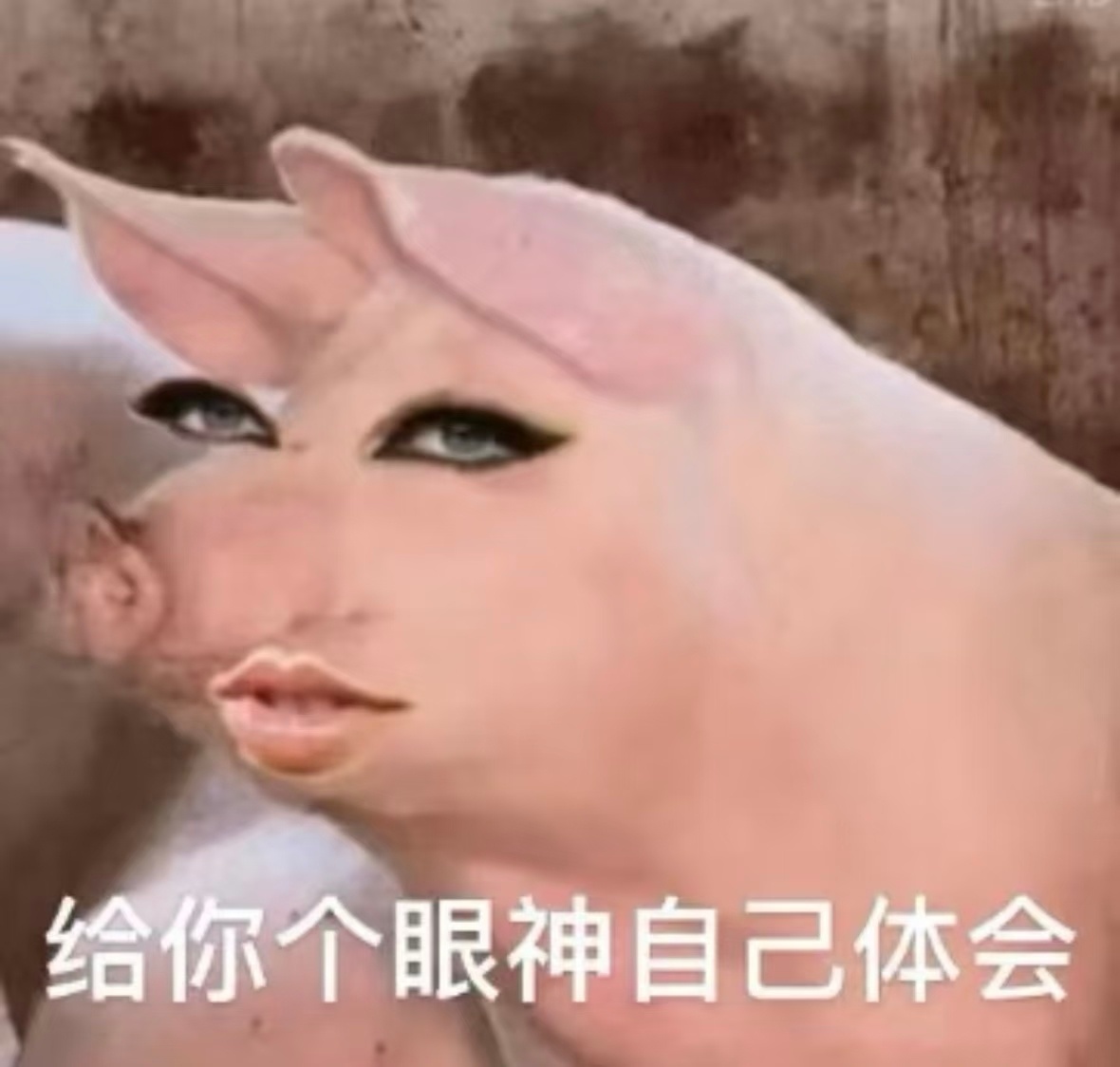 你们能不能别盯着柳智敏的大腿看来看去了那是我睡觉的地方 