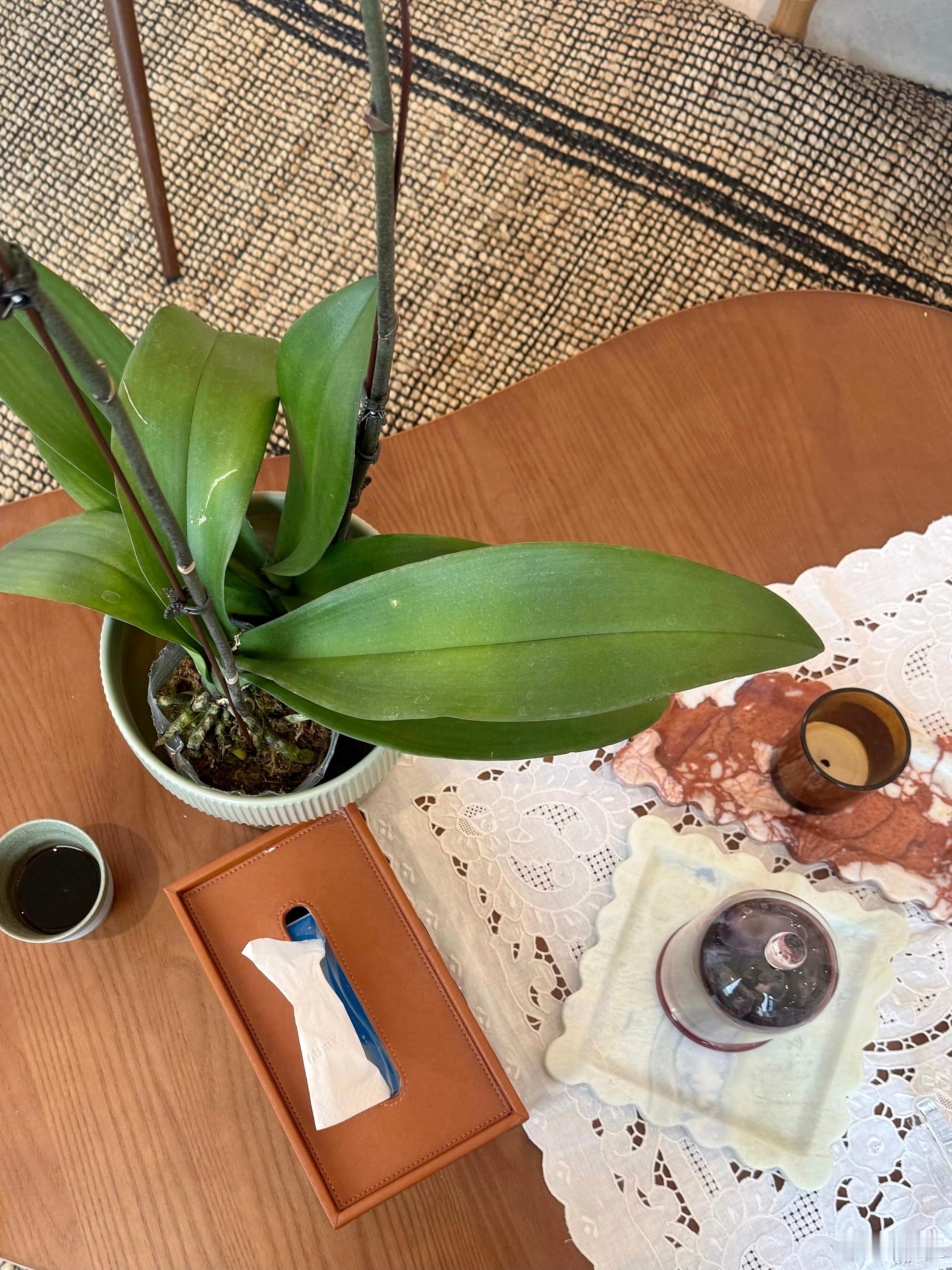 有一种情况吧，就是你的伴侣对于情绪感知不敏感且你说来说去，对方一点不愿意去改变的