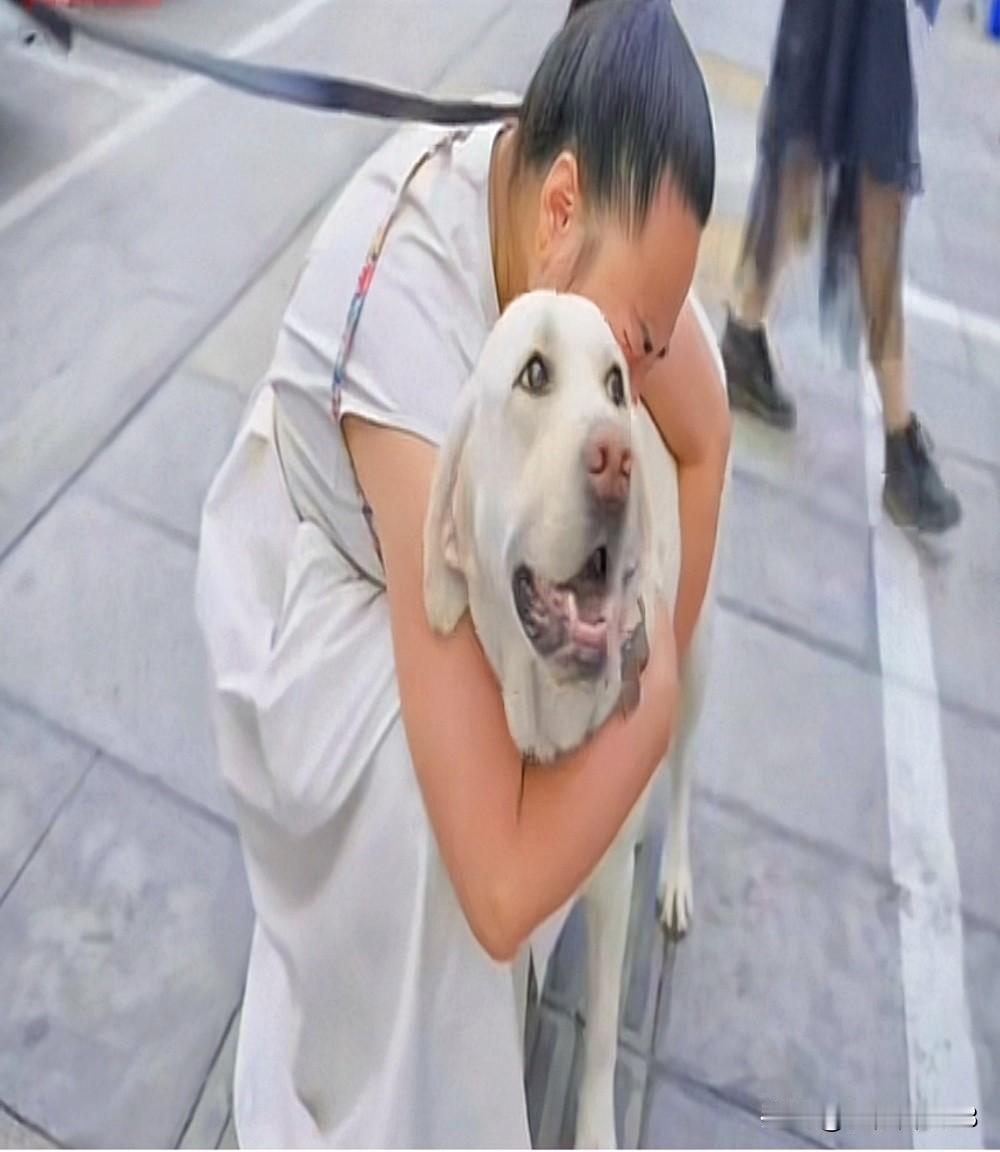 那个领养导盲犬芬迪的莹莹现在可后悔了！

她说：早知道芬迪会收回，她就不带它爬山
