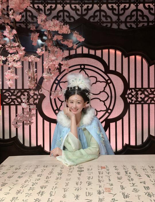 重生之嫦娥参加宫宴…