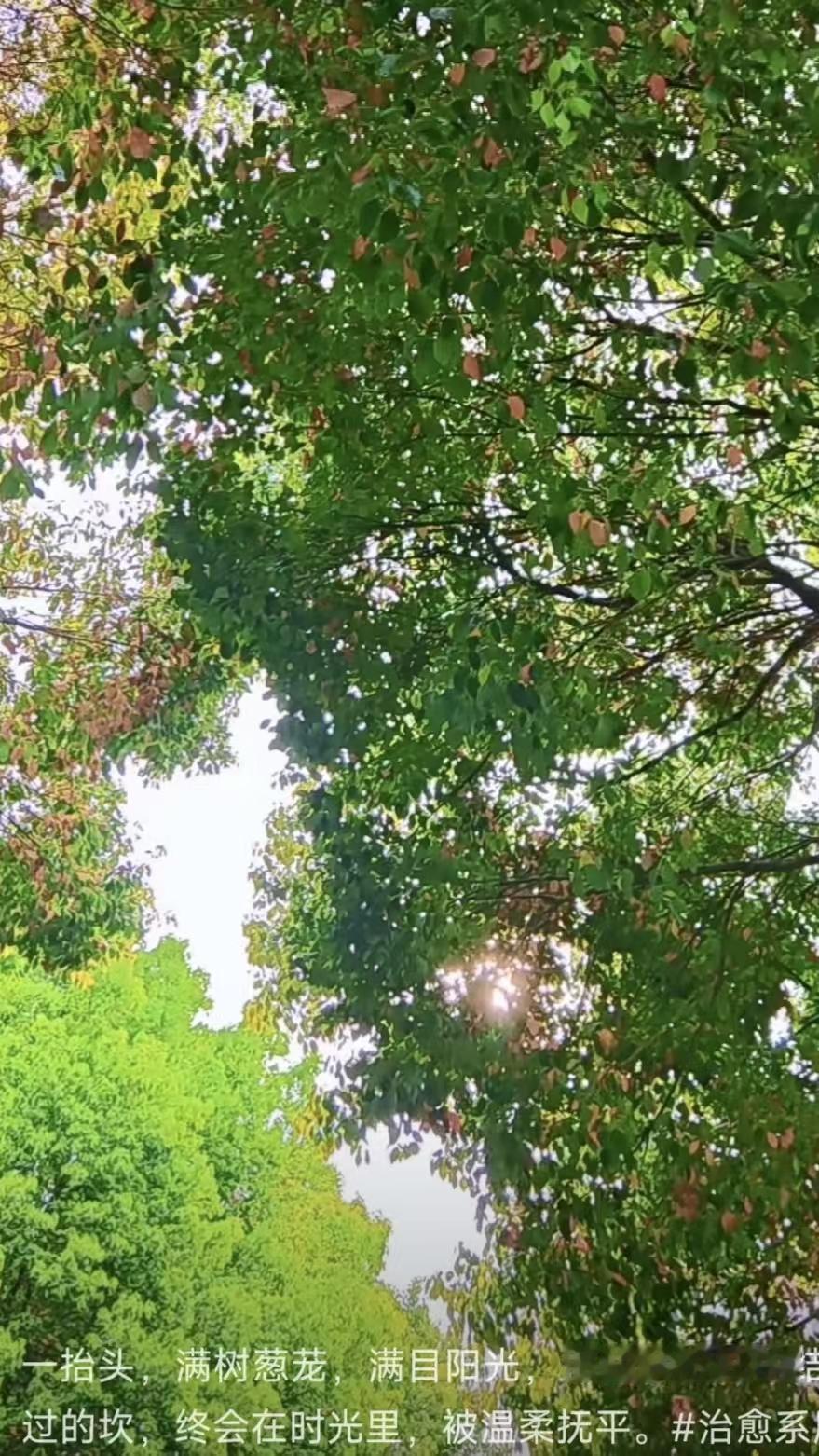 塞鸿秋·谷雨即景
布谷啼鸣谷雨到，
青山叠翠春光好。
村南垄北耕犁闹，
农事匆匆