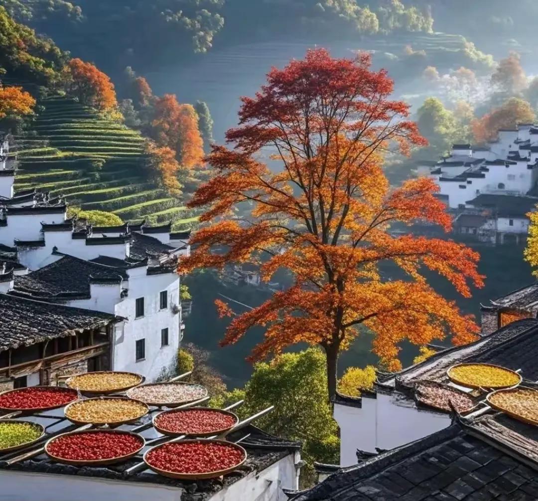 旅游 江西故事 婺源之篁岭，一生中值得一去的地方。那里不仅有错落有致的风景，还有