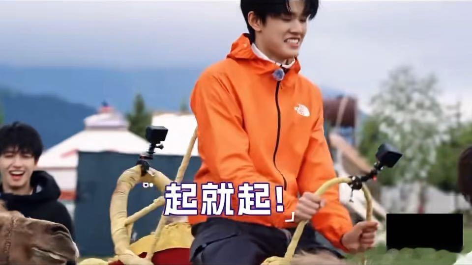 苏新皓把张泽禹张极的骆驼喊起来了一路向海的少年 动物的听觉感知很难预判，可能是声