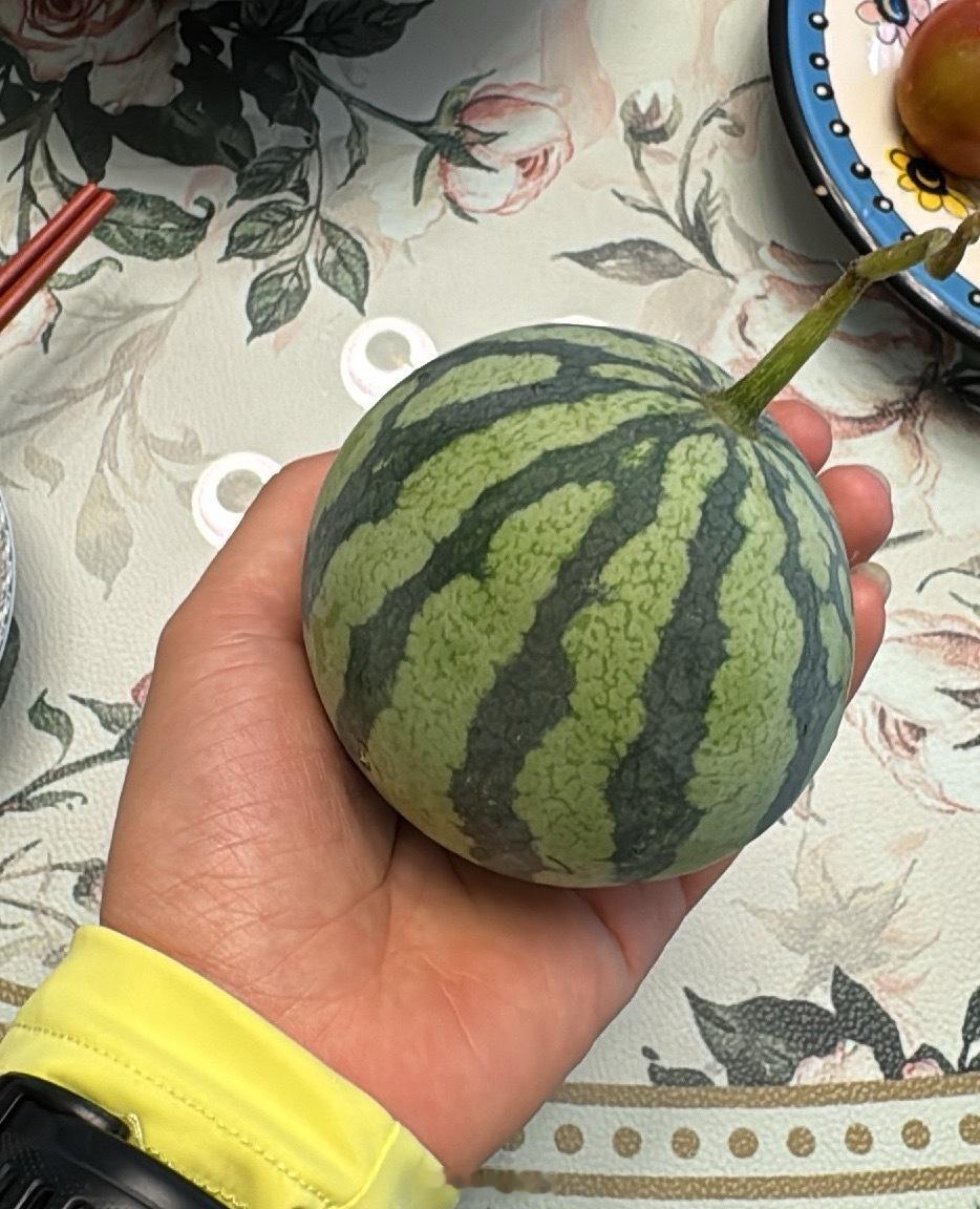植物 喂，小瓜瓜 ，你熟了没有啊雨水太多了，长不大了 ，花盆营养严重不足，委屈了