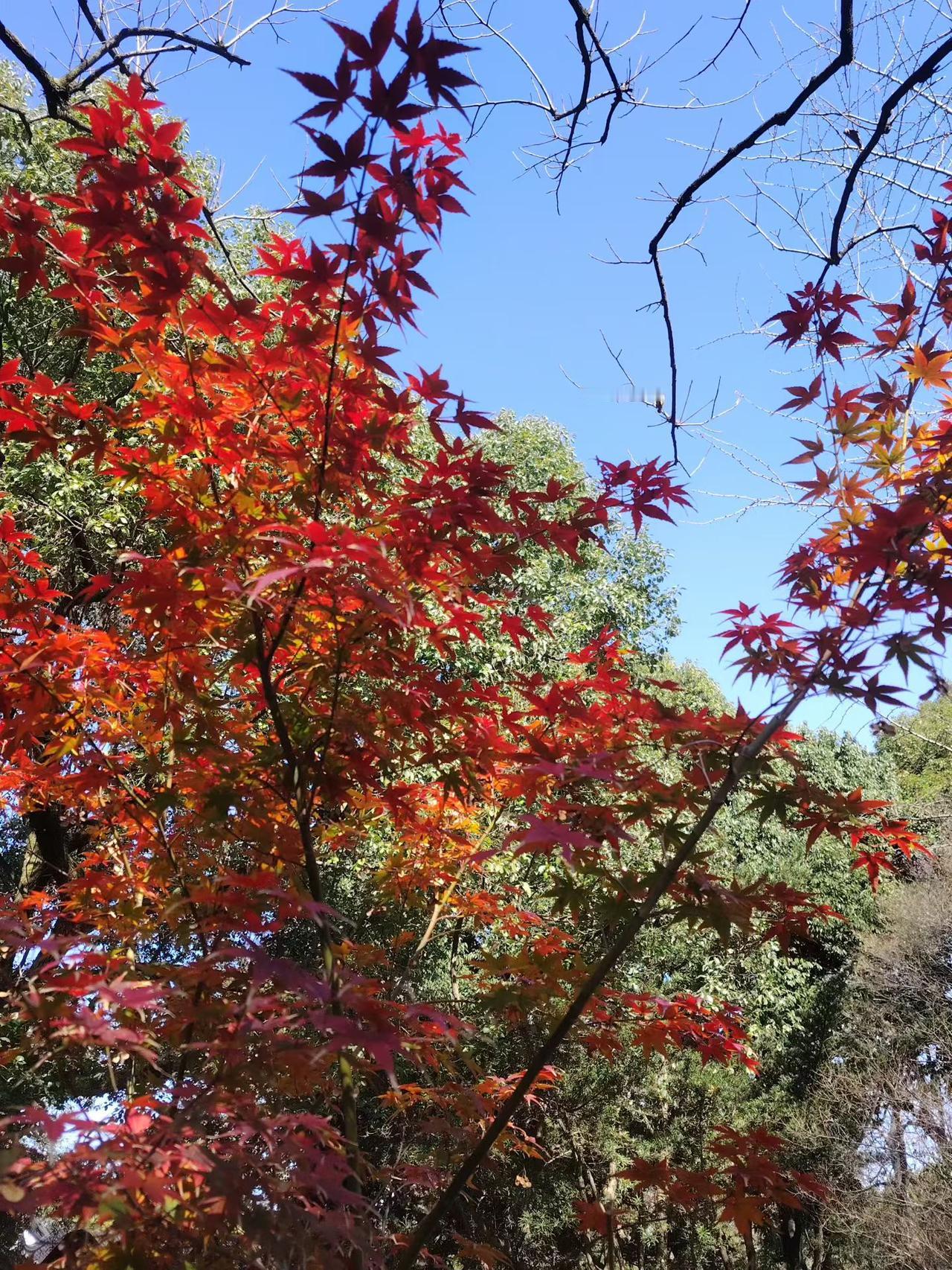 总也找不到想要的那个人，大概率是因为“既要又要还要全都要”，而自己偏偏条件有限…