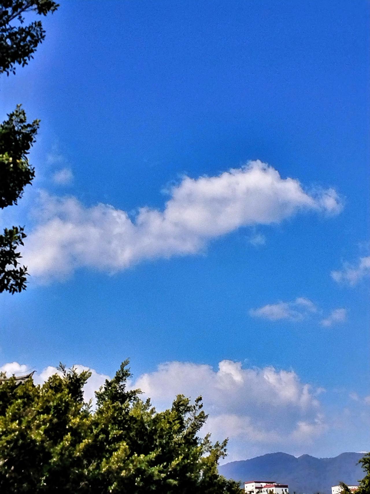 蓝天白云下的静谧时光，感受大自然的宁静与美好。🌤️🍃随手拍下这一幕，就好像把
