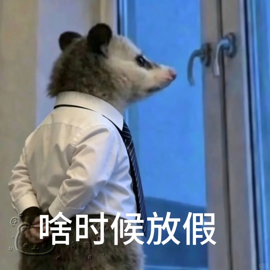 下周是很善良的一周 本人状态：等放假！ 