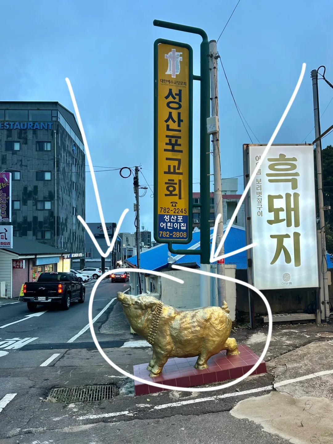 来济州岛！记住这只猪！！