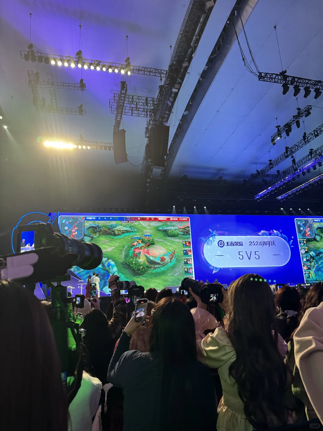 是这样的。。下次买看台
