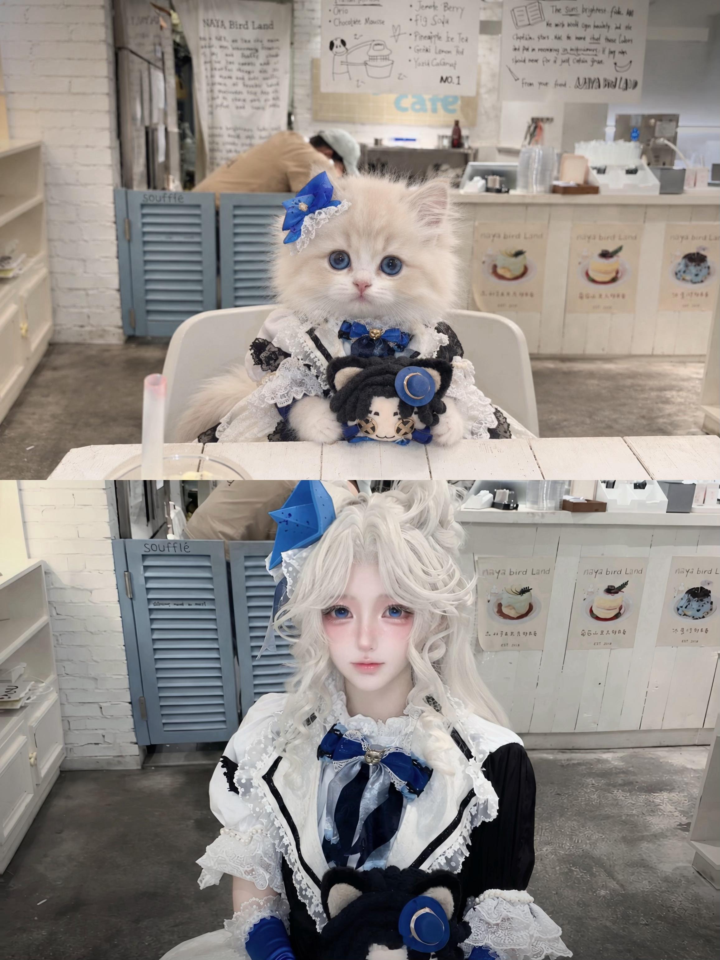 咪 ​​​