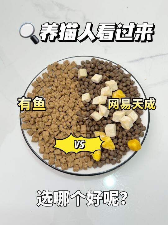 猫粮决赛圈，你会选哪款？