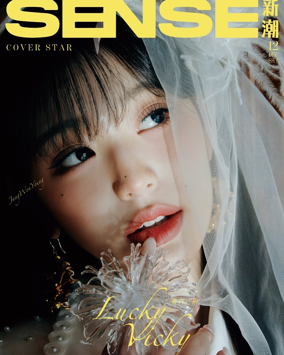 张元英 SENSE封面人物  