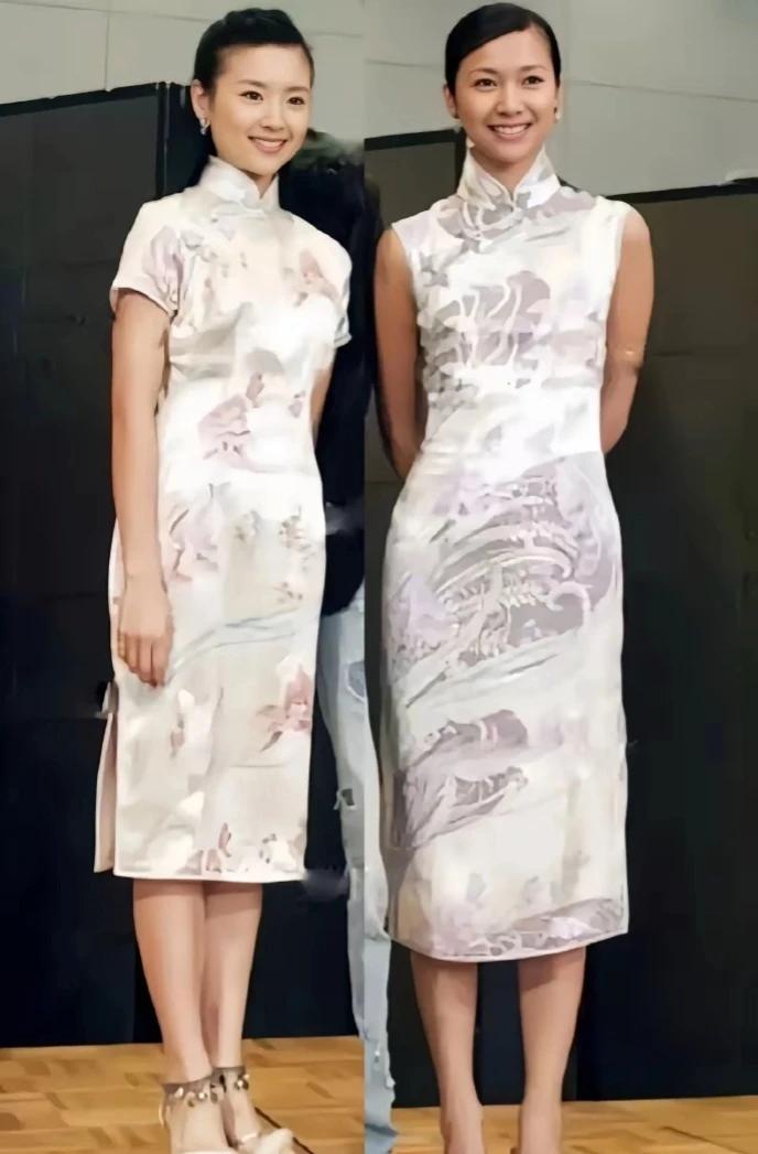 怎么董洁穿衣服就是比徐静蕾看着好看呢，明明徐静蕾还更高一些呢。