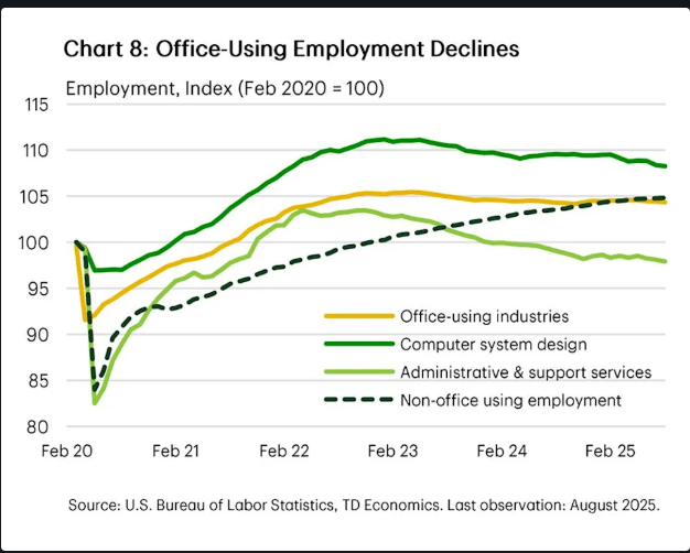 人工智能真的在抢走工作岗位吗？TD银行经济学家克谢尼娅·布什梅涅娃指出，从图中可