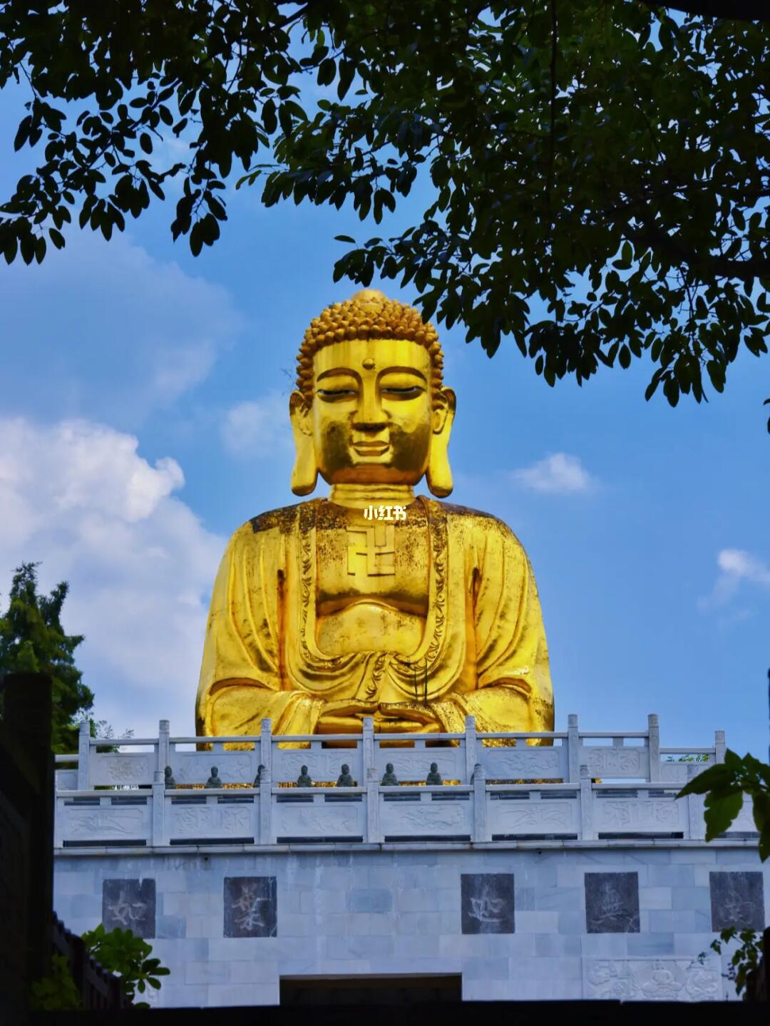 成都最大的金佛‼️隐蔽在森林里的蜀西古刹