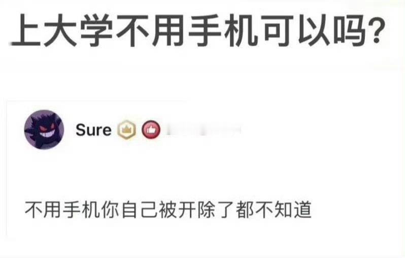 上大学不用手机可以吗？ 