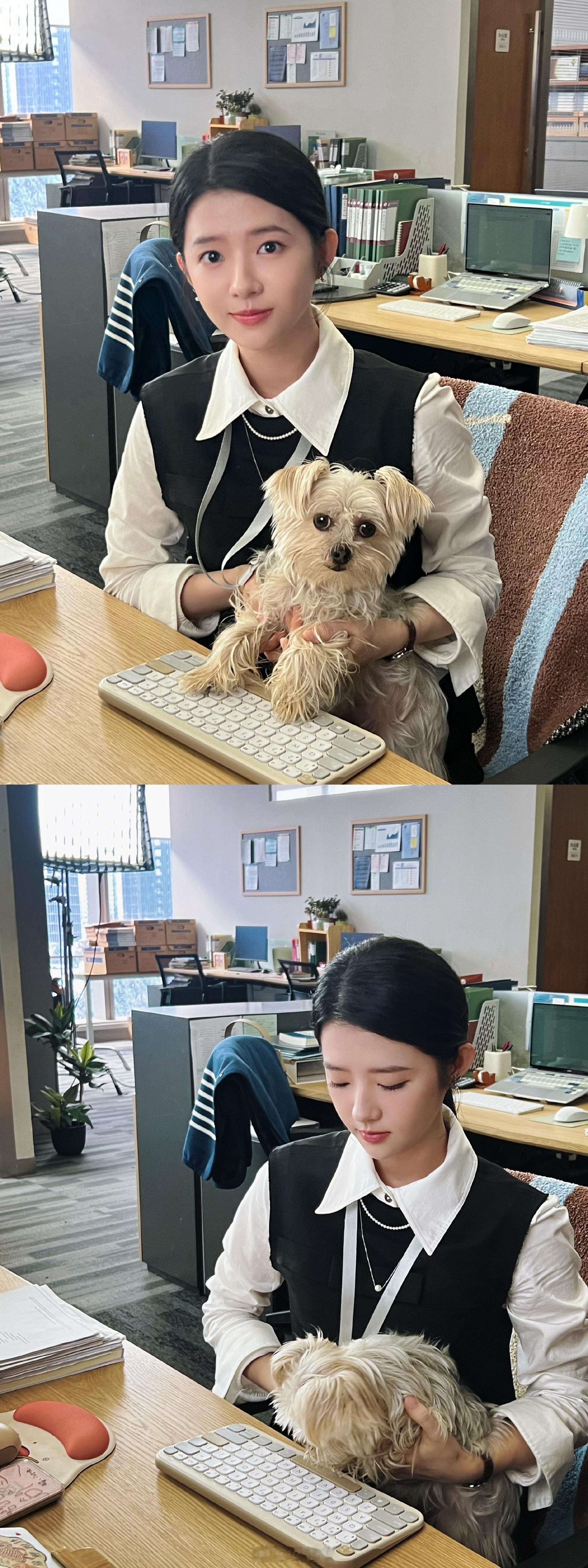 #何蓝逗 乐华害我# 哈哈哈哈哈为什么这么可爱 ​​​