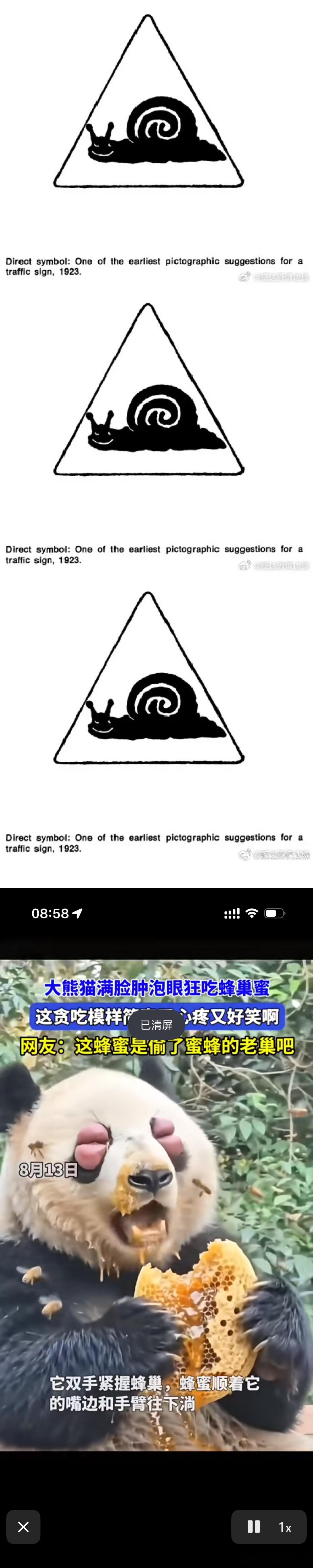 dy刷到眼睛被蛰了的熊猫 
