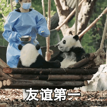 【】太可爱了，欢迎大家下载！