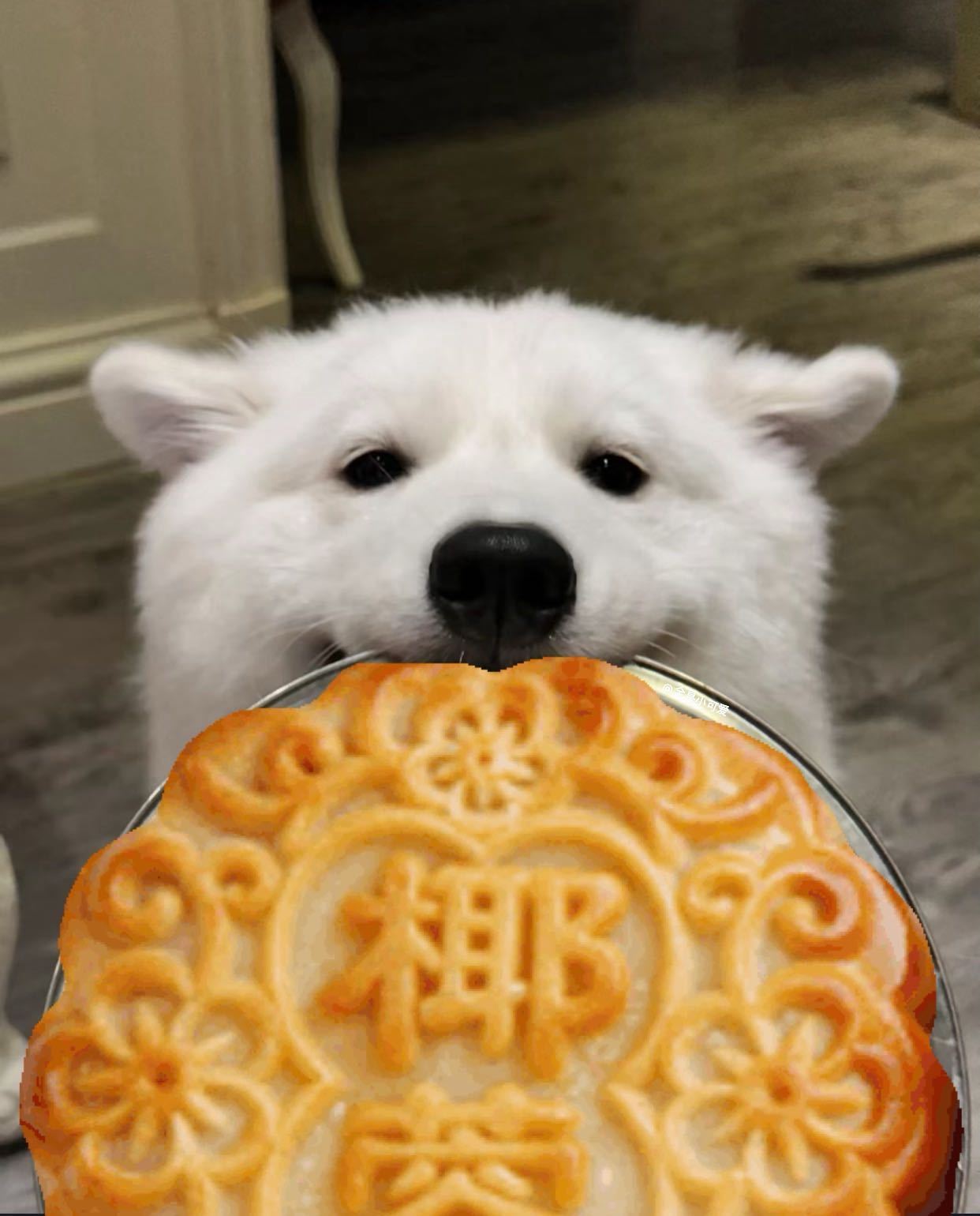 中秋快乐耶！🥮 ​​​