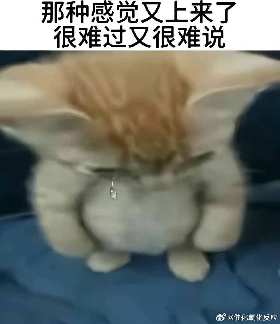 我在沙发上坐着。猫咪噔噔噔跑过去，她的喝水碗和饭碗在电视柜下边放着～跑去喝水～果