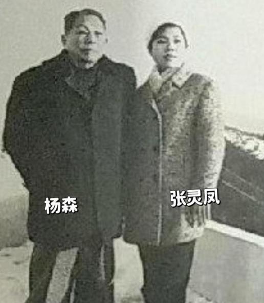 1974年，90岁的杨森迎娶了17岁的张灵凤。洞房之夜，就在杨森要行房事时，张灵