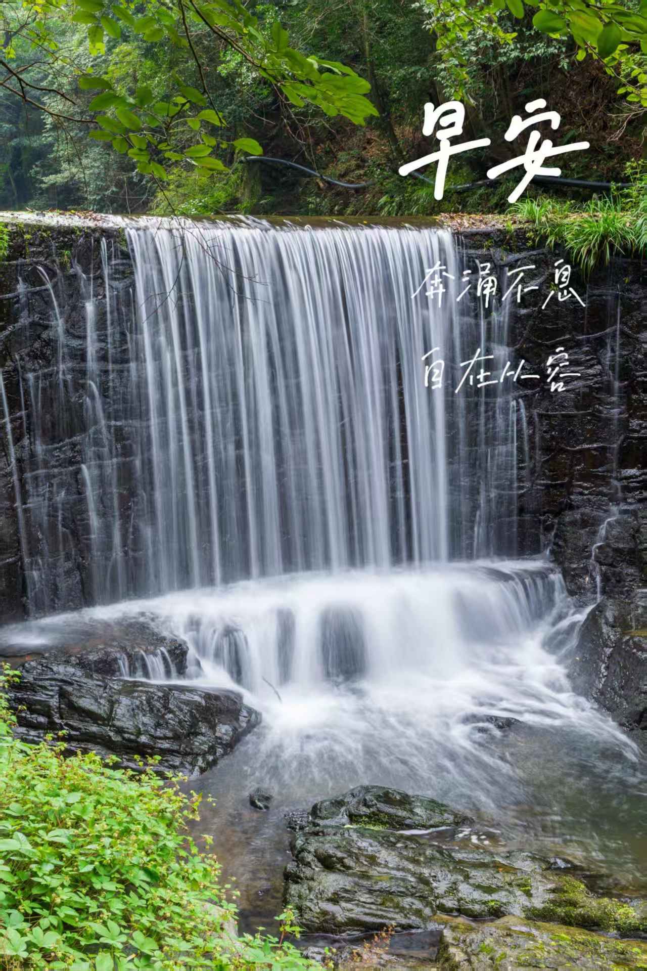 分享图片 