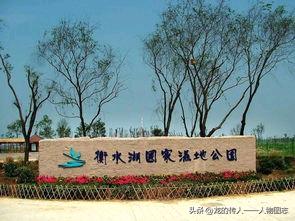 冬日生活打卡季