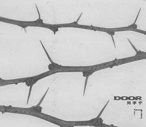 | 摩登兄弟超话

你称得上世间一切美好的形容词，而这样一来，一切绝美的景色，岂