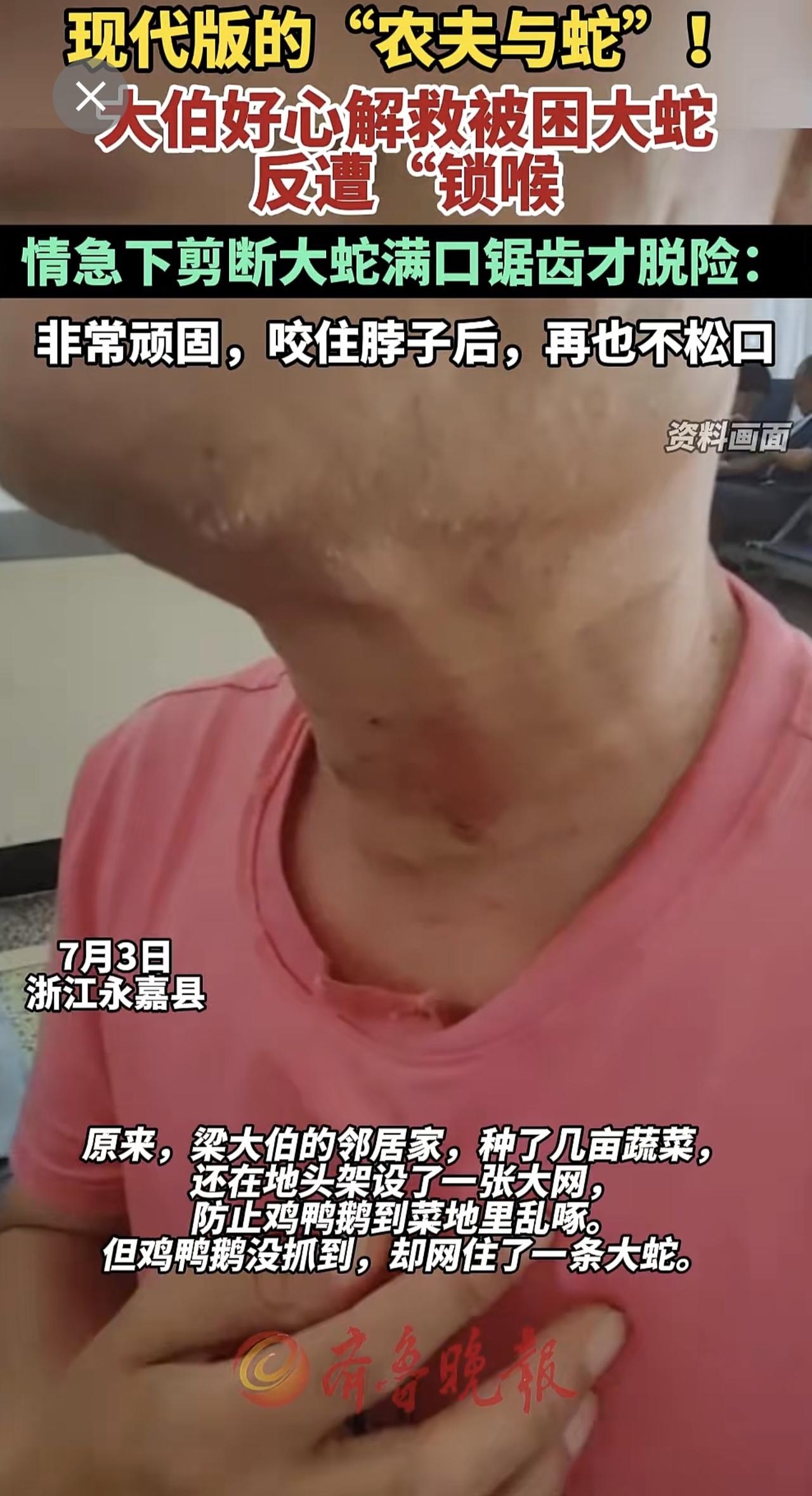 现代版的“农夫与蛇”！大伯好心解救被困大蛇，反遭“锁喉”（橙柿互动）。
