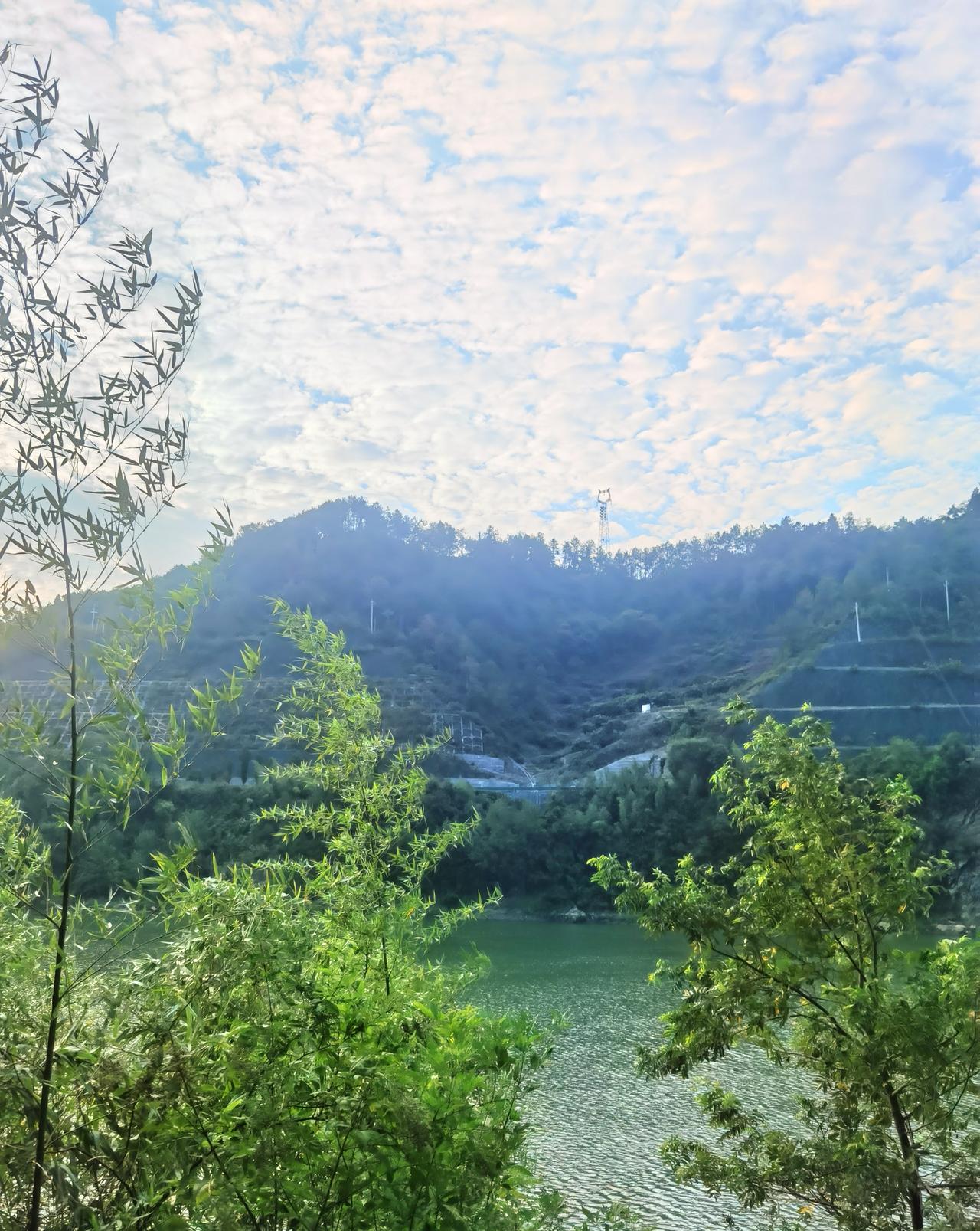 秋日生活打卡季夏渐远，风里多了几分清透。桂香暗涌，梧叶初黄，蝉鸣也淡了。秋已至，