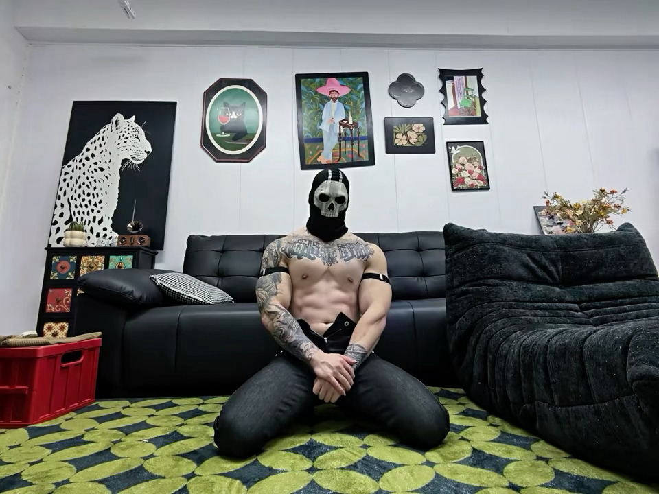 🐻 