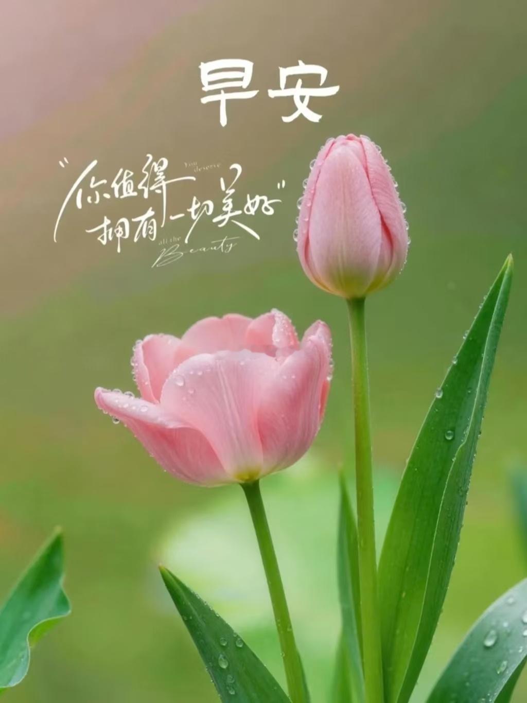 【周五，早安】生活就是不断地翻过一座山，又遇见一片海。愿你心中有火，眼中有光，永