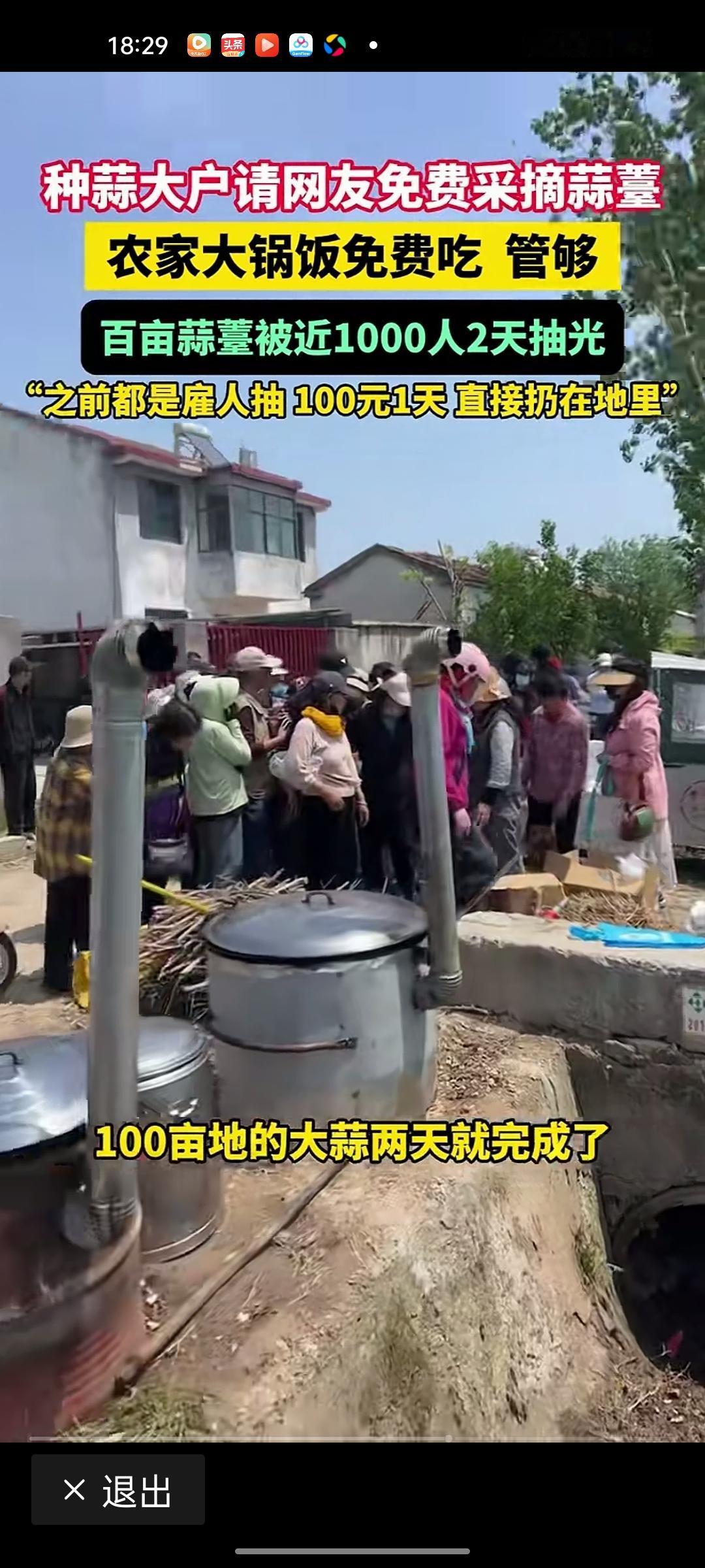 一句邀约千人奔赴！2天摘完100亩蒜苔，这才是中国人最朴素的善意
 
江苏徐州的