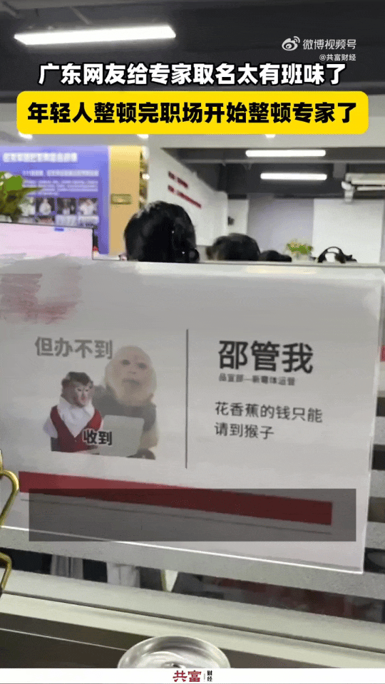 年轻人整顿完职场开始整顿专家了广东网友给专家取名太有班味了给专家取名这波操作太绝