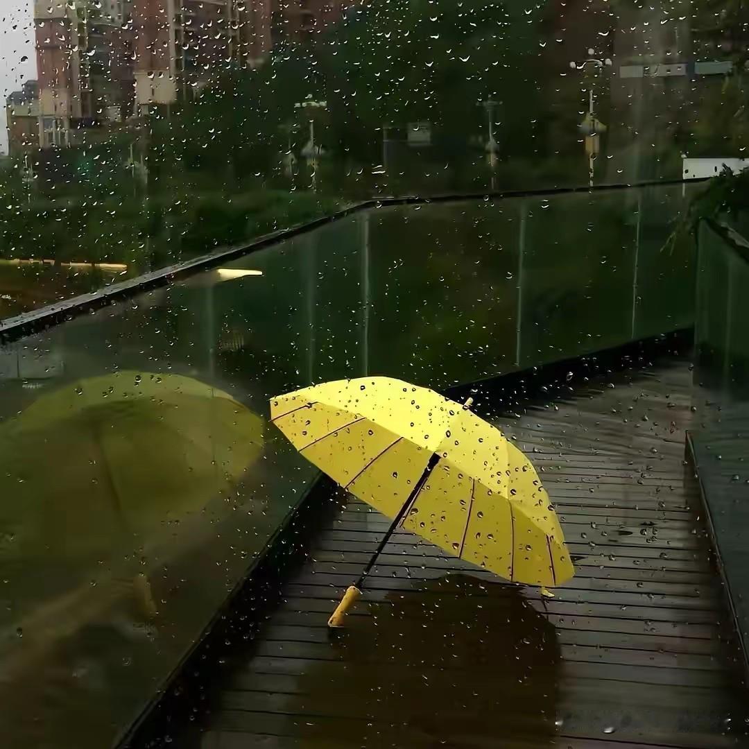 风淅淅，雨纤纤，难怪春愁细细添。


 ----清·纳兰性德
