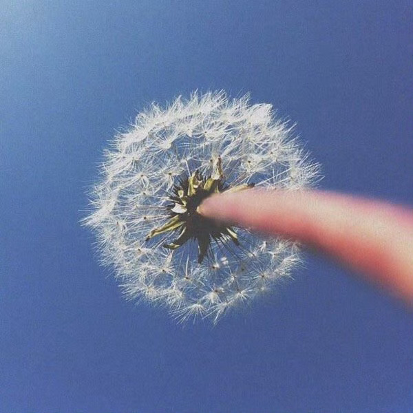 赚钱不易，有钱不要乱花，求人如吞三尺剑。——曾仕强