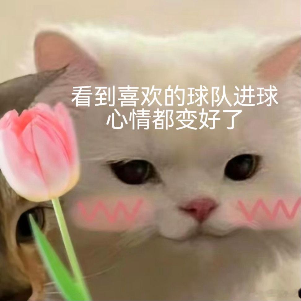 凌晨的呐喊需要美食加持，淘宝闪购就是我的宝藏补给站。炸鸡、啤酒一键齐，🔍【大力