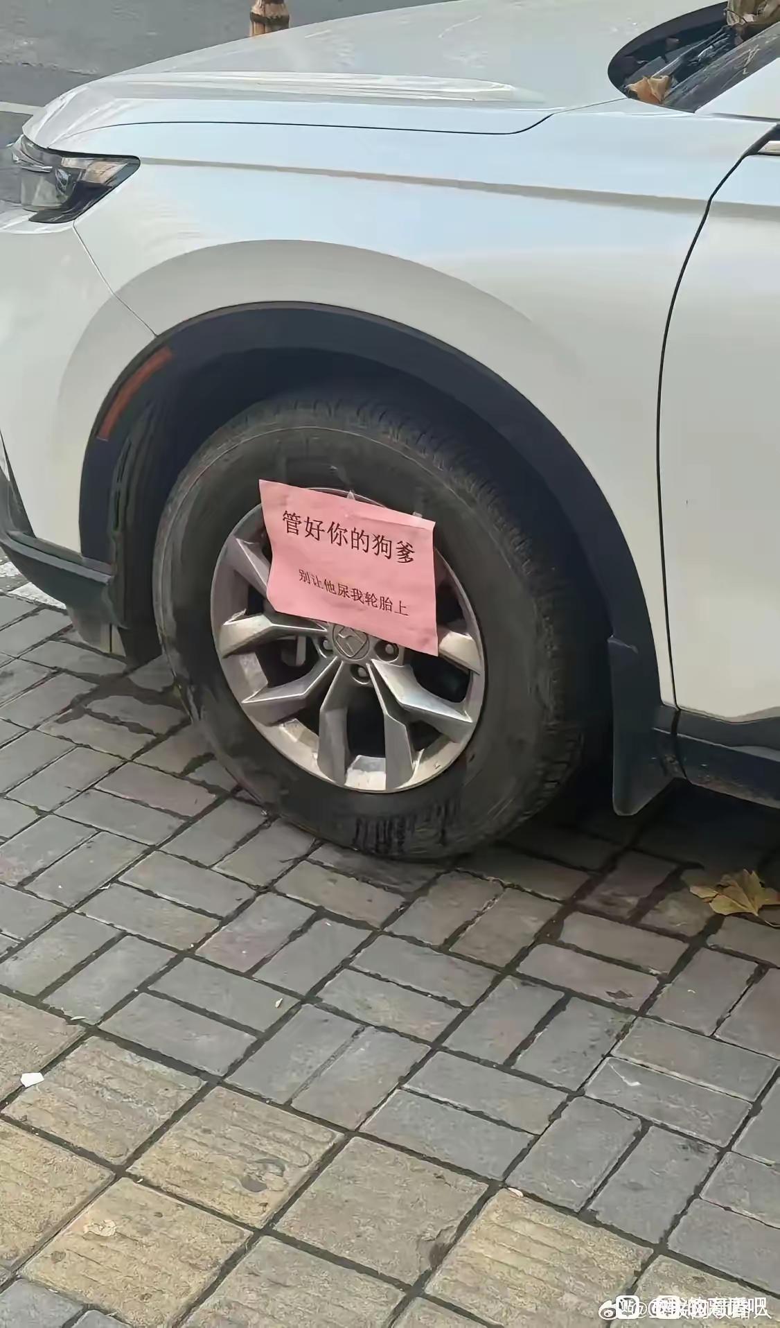 恨急眼了！
实在找不到可用来解恨的词儿了，只能用狗“爹”来表达心中的怒火，能阻止