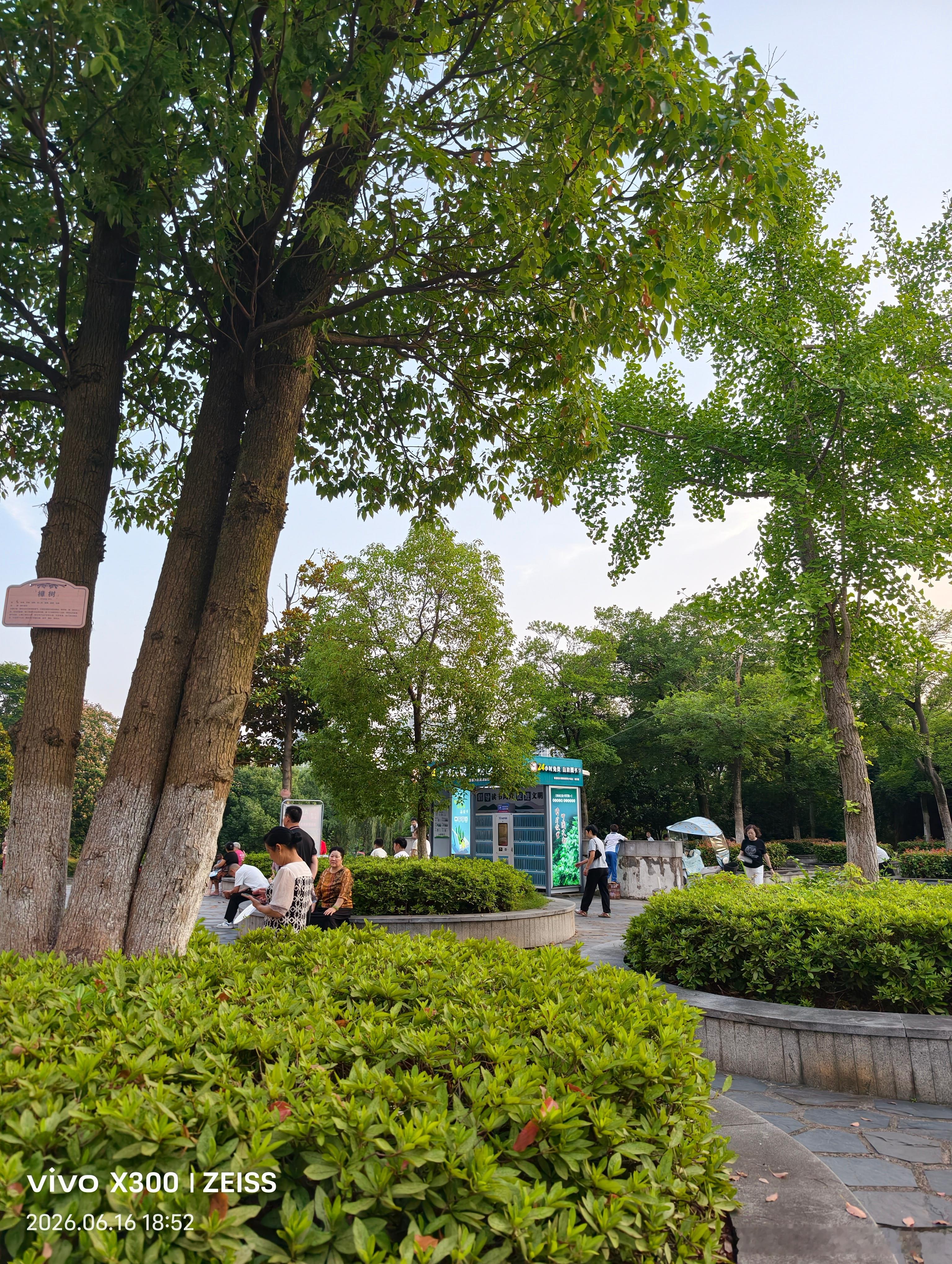 灯会一盏一盏亮起来，路会一点一点走平坦，手中的花也会一朵接一朵地绽开。不要急，人