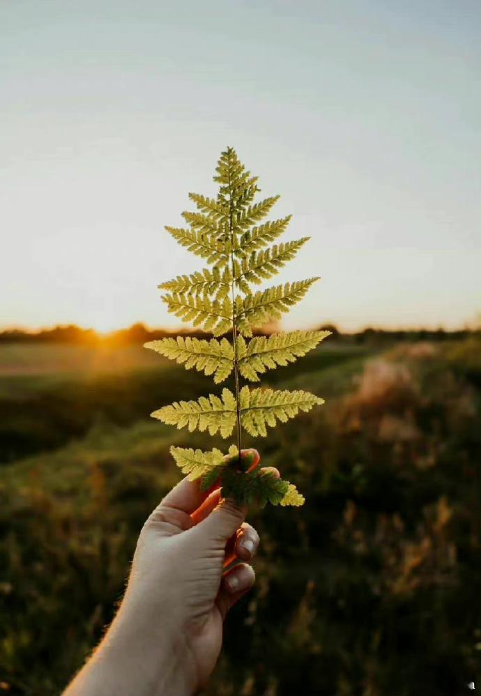 在白天对什么都不动感情是极为容易的，但在夜晚就是另外一回事了。——海明威《太阳照